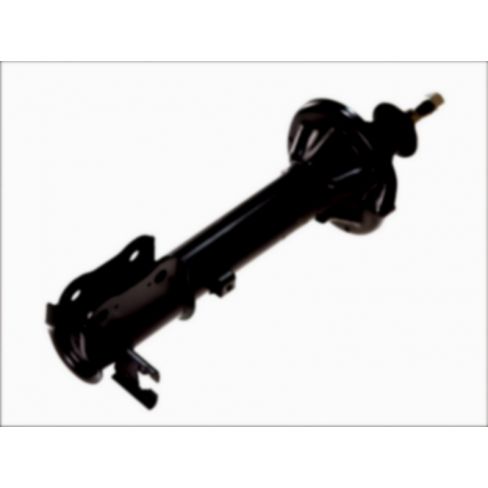 Amortizor axa spate Amortizor axa spate