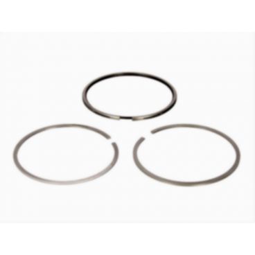 Segmenti piston