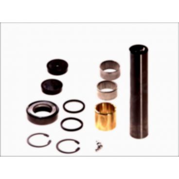 Kit reparatie pivot