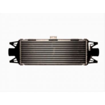 Radiator aer