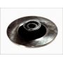 Brake disk with bearing