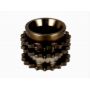 Pinion arbore cotit