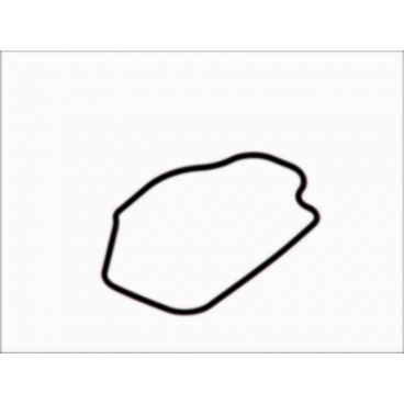 Garnitura capac termostat