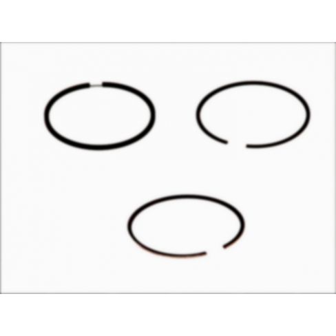 Segmenti piston