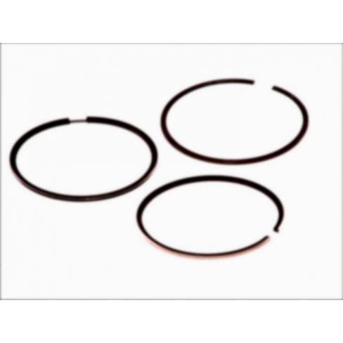 Segmenti piston