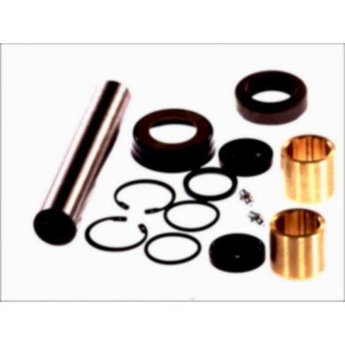 Kit reparatie pivot Kit reparatie pivot