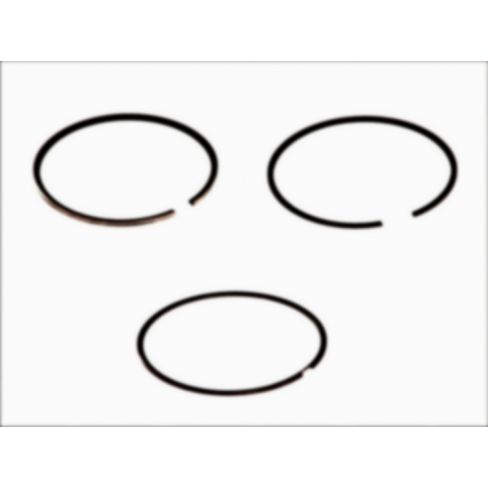 Segmenti piston